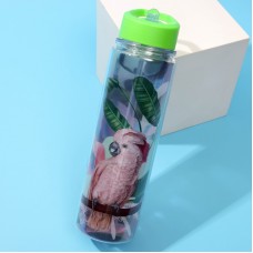 Бутылка для воды Попугай, 550 мл7305526
